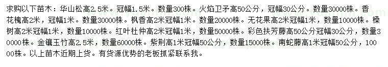 求購華山松、火焰衛(wèi)矛、香花槐等 