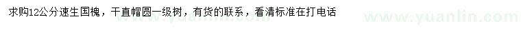 求購12公分速生國槐