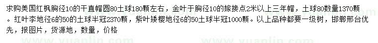 求購美國紅楓、金葉榆、紅葉李等