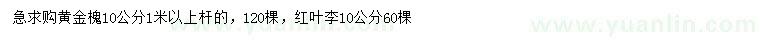 求購(gòu)10公分黃金槐、紅葉李