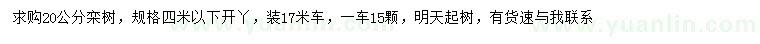求購20公分欒樹