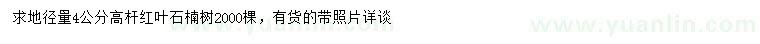 求購地徑量4公分高桿紅葉石楠
