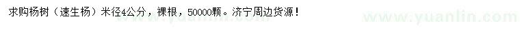 求購米徑4公分楊樹（速生楊）