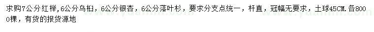 求購紅櫸、烏桕、銀杏等