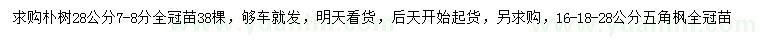 求購(gòu)28公分樸樹、16、18、28公分五角楓