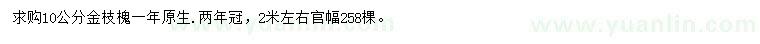 求購10公分金枝槐