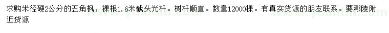 求購米徑硬2公分五角楓