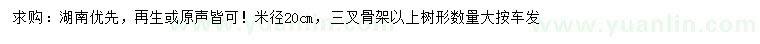 求購米徑20公分樸樹
