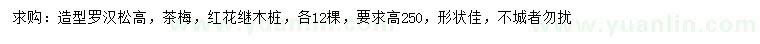 求購造型羅漢松、茶梅、紅花繼木樁