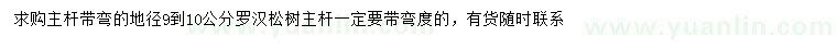 求購地徑9-10公分羅漢松