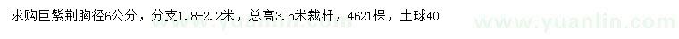 求購(gòu)胸徑6公分巨紫荊
