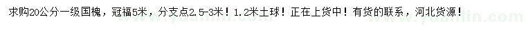 求購(gòu)20公分國(guó)槐