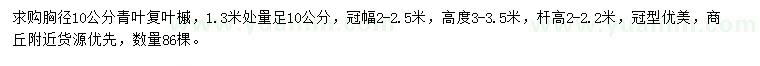 求購1.3米量胸徑10公分青葉復(fù)葉槭