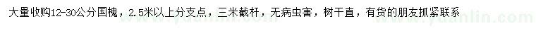 求購(gòu)12-30公分國(guó)槐