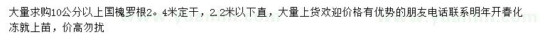 求購10公分以上國槐