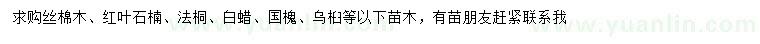 求購絲棉木、紅葉石楠、法桐等