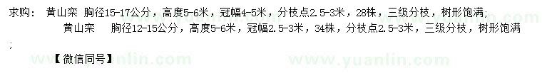 求購(gòu)胸徑12-15、15-17公分黃山欒