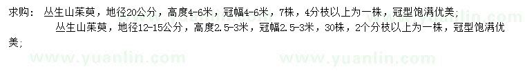 求購地徑12-15、20公分叢生山茱萸