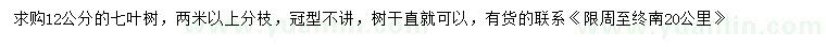 求購(gòu)12公分七葉樹