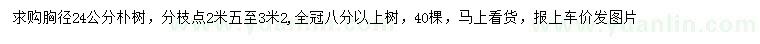 求購胸徑24公分樸樹
