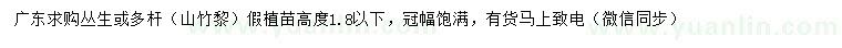 求購(gòu)高1.8米以下叢生或多桿（山竹黎）假植苗