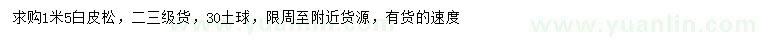 求購1.5米白皮松