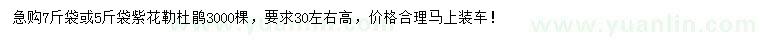 求購(gòu)紫花勒杜鵑