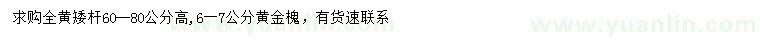 求購(gòu)6-7公分黃金槐