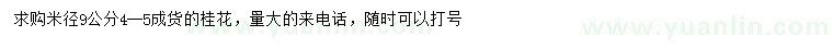 求購米徑9公分桂花