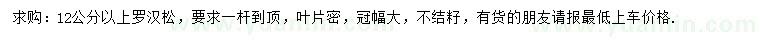 求購(gòu)12公分以上羅漢松