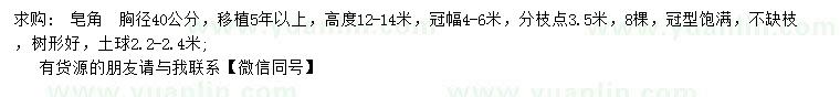 求購胸徑40公分皂角