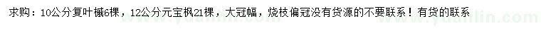 求購10公分復葉槭、12公分元寶楓