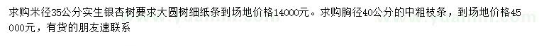 求購米徑35、40公分實(shí)生銀杏