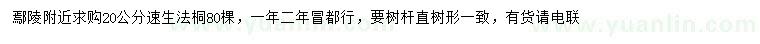 求購(gòu)20公分速生法桐