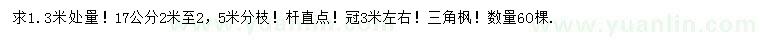 求購1.3米量17公分三角楓