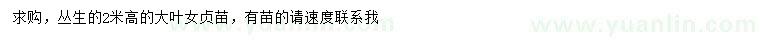 求購高2米叢生大葉女貞