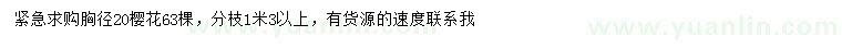 求購胸徑20公分櫻花