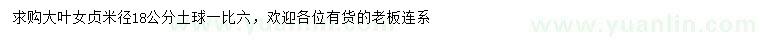 求購(gòu)米徑18公分大葉女貞