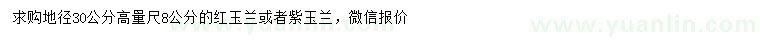 求購(gòu)地徑30公分量高8公分紅玉蘭或者紫玉蘭