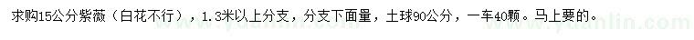 求購15公分紫薇