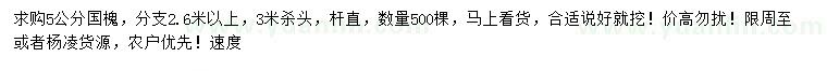 求購5公分國槐