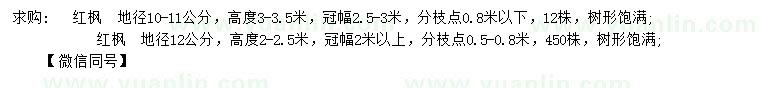 求購地徑10-11、12公分紅楓
