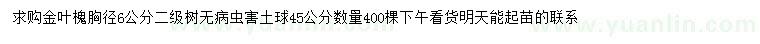 求購胸徑6公分金葉槐