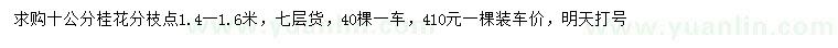 求購10公分桂花