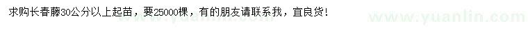 求購30公分以上長春藤