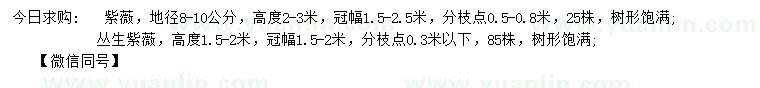 求購地徑8-10公分紫薇、高1.5-2米叢生紫薇