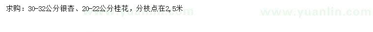 求購(gòu)30-32公分銀杏、20-22公分桂花