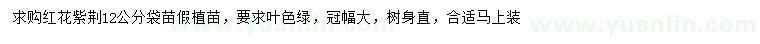 求購12公分紅花紫荊