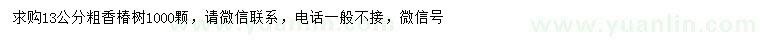 求購13公分香椿