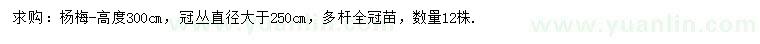 求購高300公分楊梅